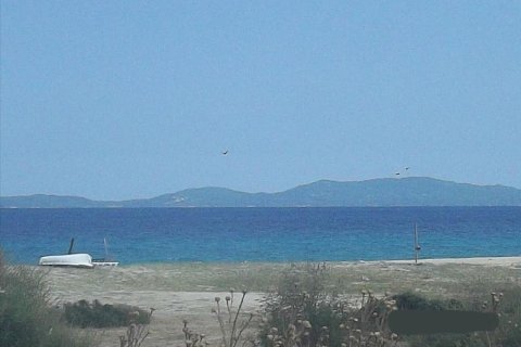 8000m² Land en Chalkidiki, Greece No. 58817 1