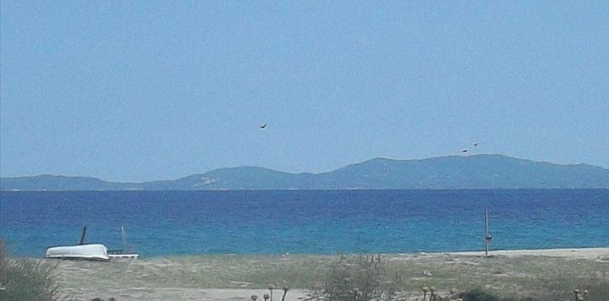 8000m² Land in Chalkidiki, Greece No. 58817