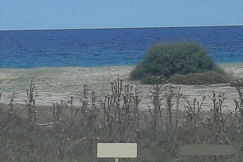 8000m² Land in Chalkidiki, Greece No. 58817 2