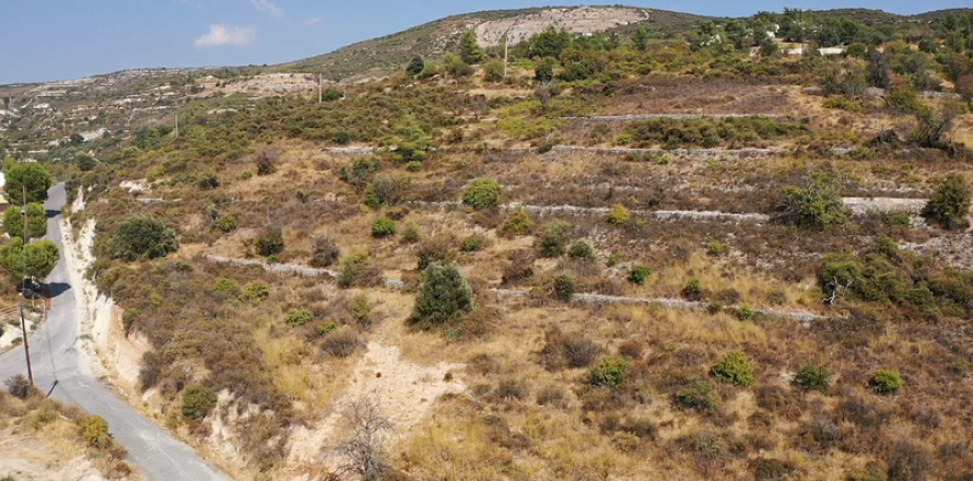 13000m² Land in Laneia, Cyprus No. 71731