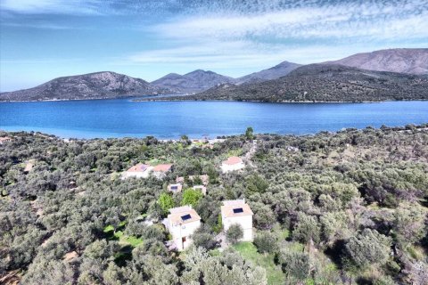 1170m² Negocio en Lesbos, Greece No. 57560 4