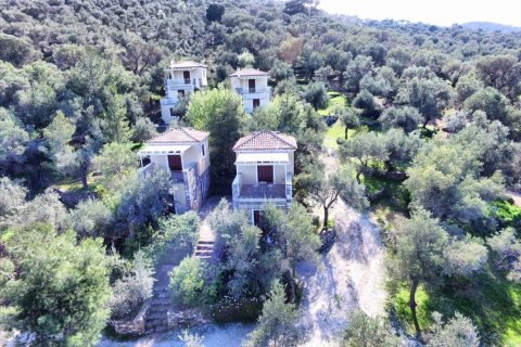 1170m² Negocio en Lesbos, Greece No. 57560 20