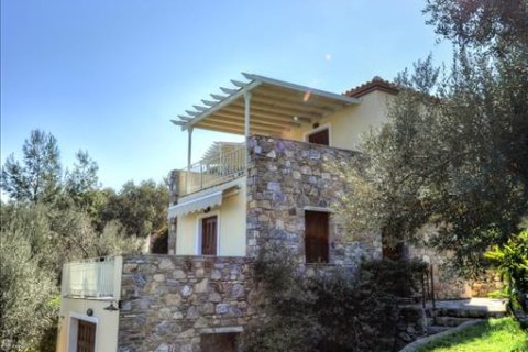 1170m² Negocio en Lesbos, Greece No. 57560 28