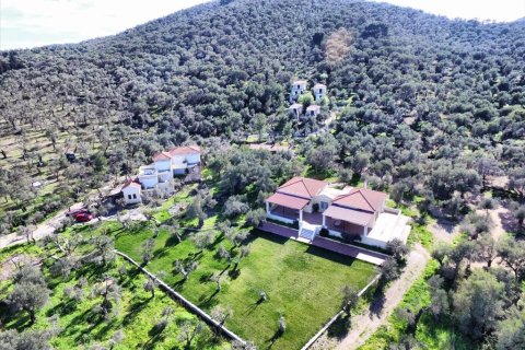 1170m² Negocio en Lesbos, Greece No. 57560 6