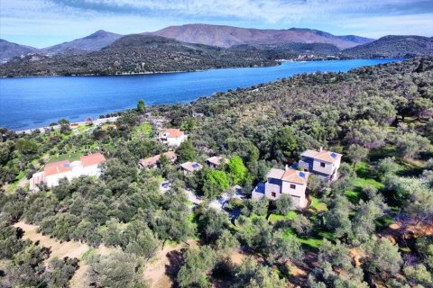 1170m² Negocio en Lesbos, Greece No. 57560 3