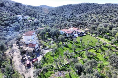 1170m² Negocio en Lesbos, Greece No. 57560 5