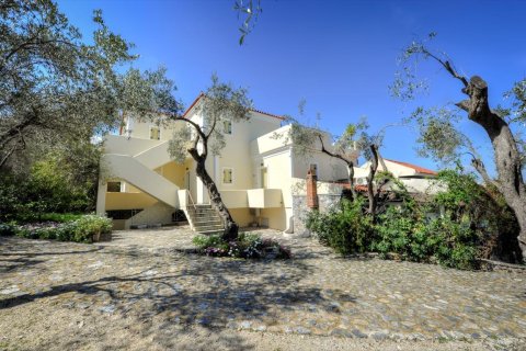 1170m² Negocio en Lesbos, Greece No. 57560 10