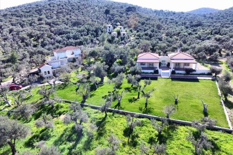 1170m² Negocio en Lesbos, Greece No. 57560 2