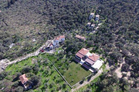 1170m² Affaires à Lesbos, Greece No. 57560 1