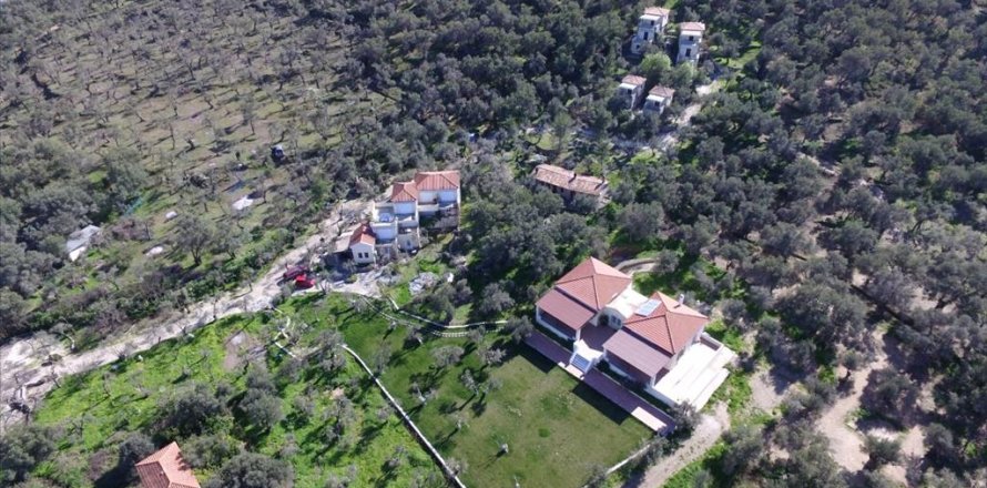 1170m² Negocio en Lesbos, Greece No. 57560