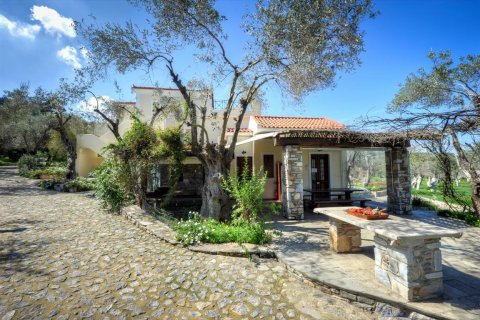 1170m² Negocio en Lesbos, Greece No. 57560 13