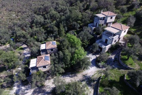 1170m² Affaires à Lesbos, Greece No. 57560 26