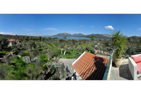 1170m² Negocio en Lesbos, Greece No. 57560 14