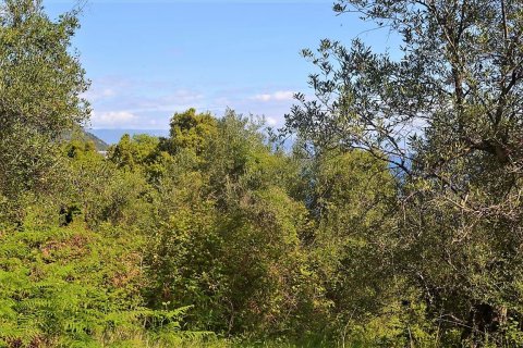 9500m² Land in Corfu, Greece No. 57425 5