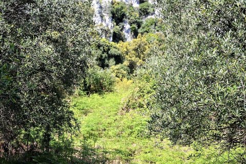 9500m² Land en Corfu, Greece No. 57425 6