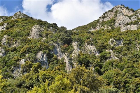 9500m² Land in Corfu, Greece No. 57425 4