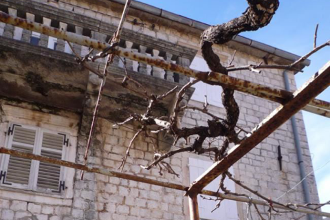 3 chambres House à Kotor, Montenegro No. 66894 6