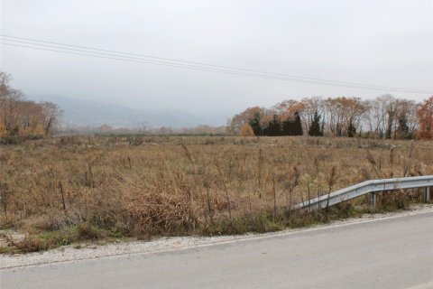 40000m² Land à Dion, Greece No. 57737 1