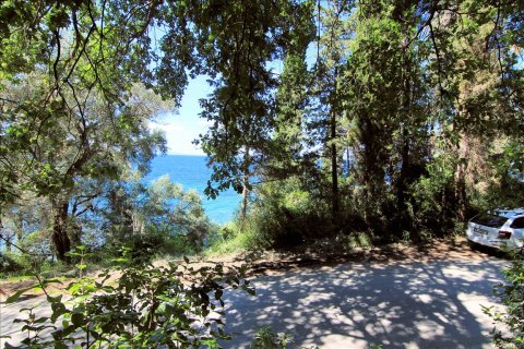 10000m² Land in Corfu, Greece No. 58031 1