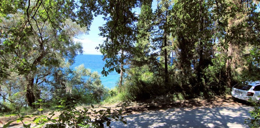 10000m² Land in Corfu, Greece No. 58031