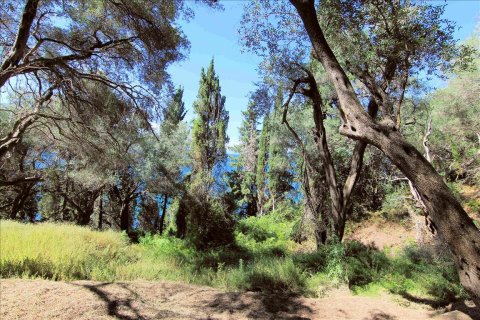 10000m² Land in Corfu, Greece No. 58031 8