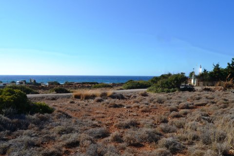 16500m² Land in Lasithi, Greece No. 58030 2