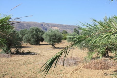 10500m² Land in Chania, Greece No. 58027 2