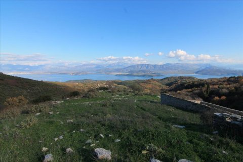 8000m² Land en Corfu, Greece No. 58382 1