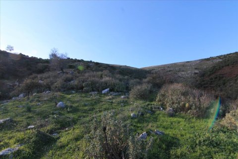 8000m² Land in Corfu, Greece No. 58382 2