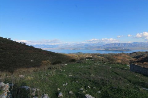 8000m² Land in Corfu, Greece No. 58382 4