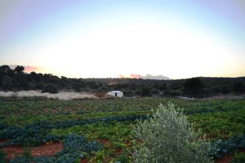 12500m² Land in Hersonissos, Greece No. 58386 3