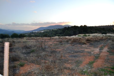 12500m² Land in Hersonissos, Greece No. 58386 5