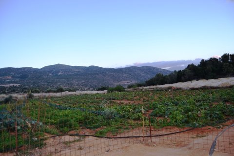 12500m² Land in Hersonissos, Greece No. 58386 7