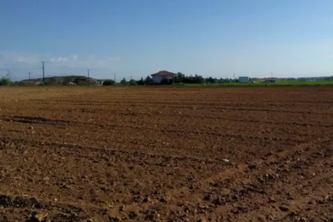 15990m² Land in Pano Deftera, Cyprus No. 35668 1