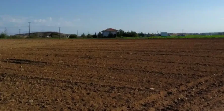 15990m² Land in Pano Deftera, Cyprus No. 35668