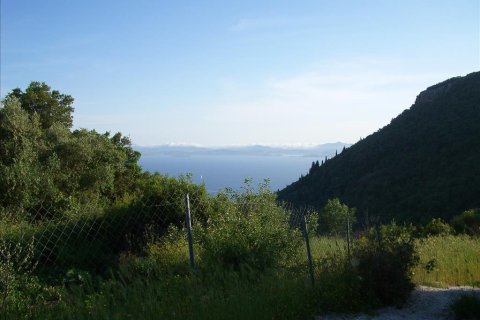 15000m² Land in Corfu, Greece No. 60366 3