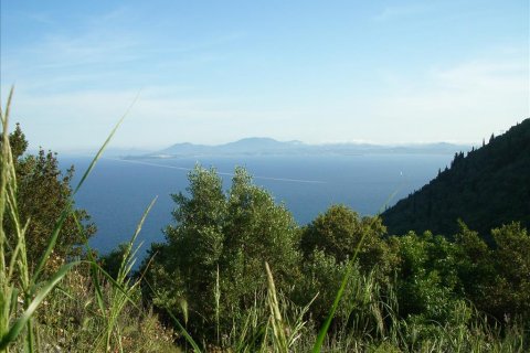 15000m² Land en Corfu, Greece No. 60366 5