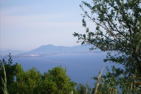 15000m² Land en Corfu, Greece No. 60366 6