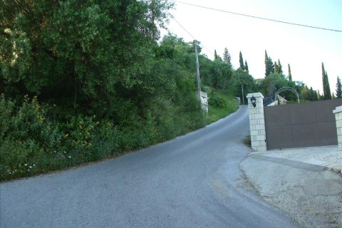 15000m² Land in Corfu, Greece No. 60366 1