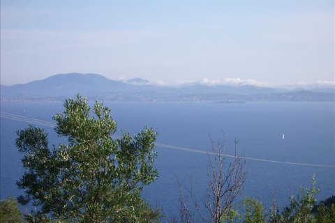 15000m² Land en Corfu, Greece No. 60366 2