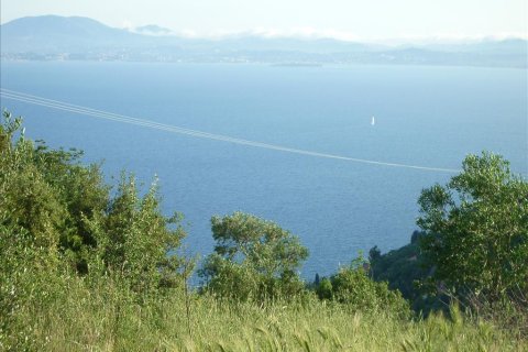 15000m² Land à Corfu, Greece No. 60366 4