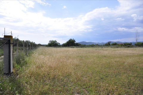 9750m² Land en Polygyros, Greece No. 60367 3