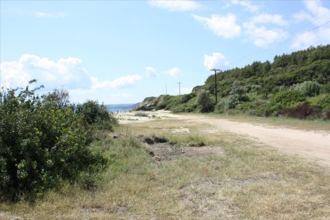 30000m² Land in Chalkidiki, Greece No. 60593 7