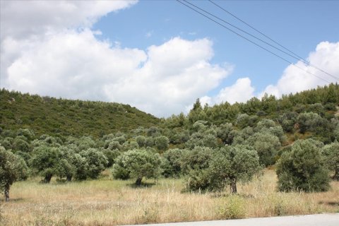 30000m² Land à Chalkidiki, Greece No. 60593 10