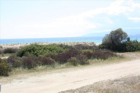 30000m² Land in Chalkidiki, Greece No. 60593 8