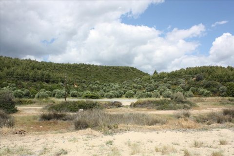 30000m² Land en Chalkidiki, Greece No. 60593 5