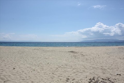 30000m² Land in Chalkidiki, Greece No. 60593 4