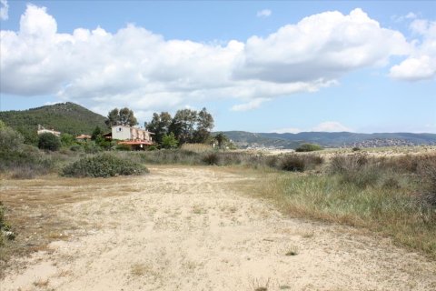 30000m² Land in Chalkidiki, Greece No. 60593 6