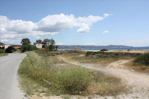 30000m² Land in Chalkidiki, Greece No. 60593 9