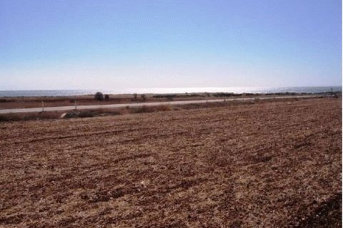 7358m² Land à Alaminos, Cyprus No. 36822 1